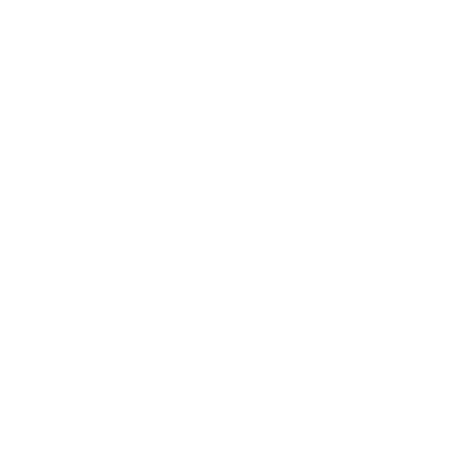 SEO Audits