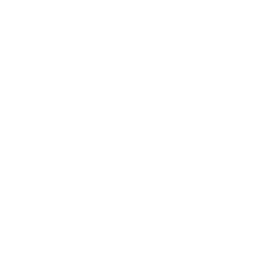 E-Commerce Websites